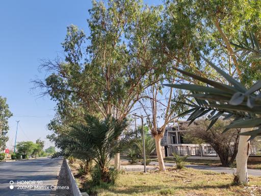 عکس پارک دانشجو