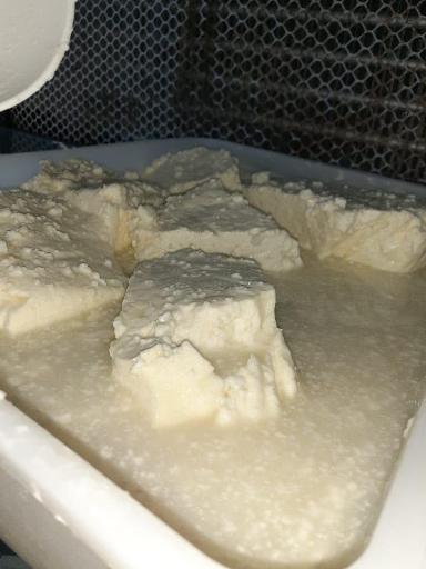 عکس لبنیات محلی دامک