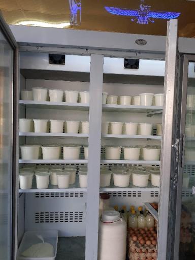 عکس لبنیات محلی دامک