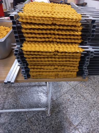 عکس تهیه غذای تک نام