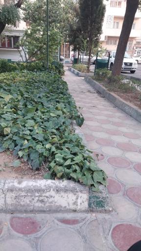 عکس بوستان پاستور