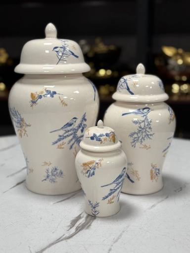 عکس ارزانکده حامی 