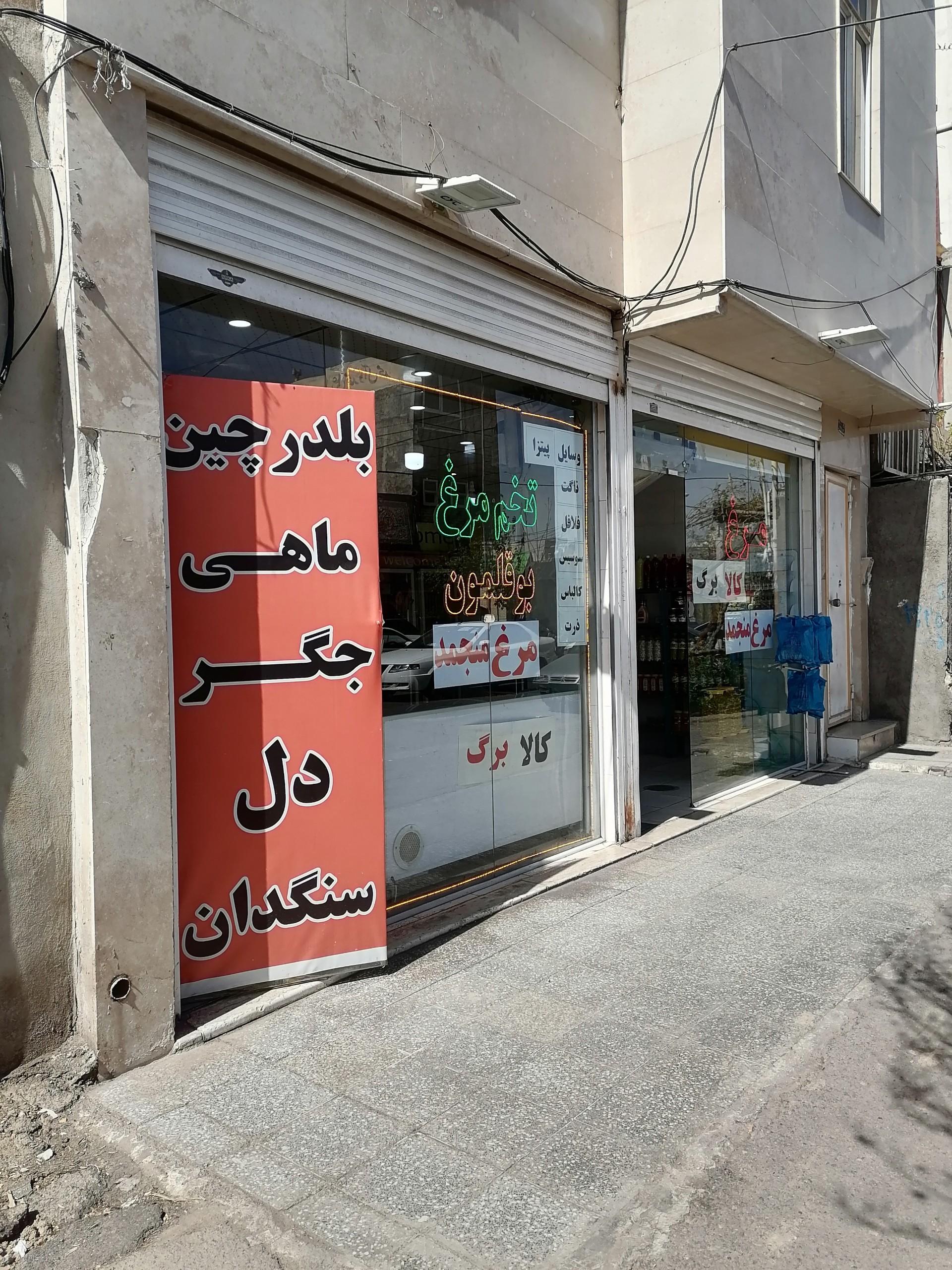 عکس مرغ و ماهی 