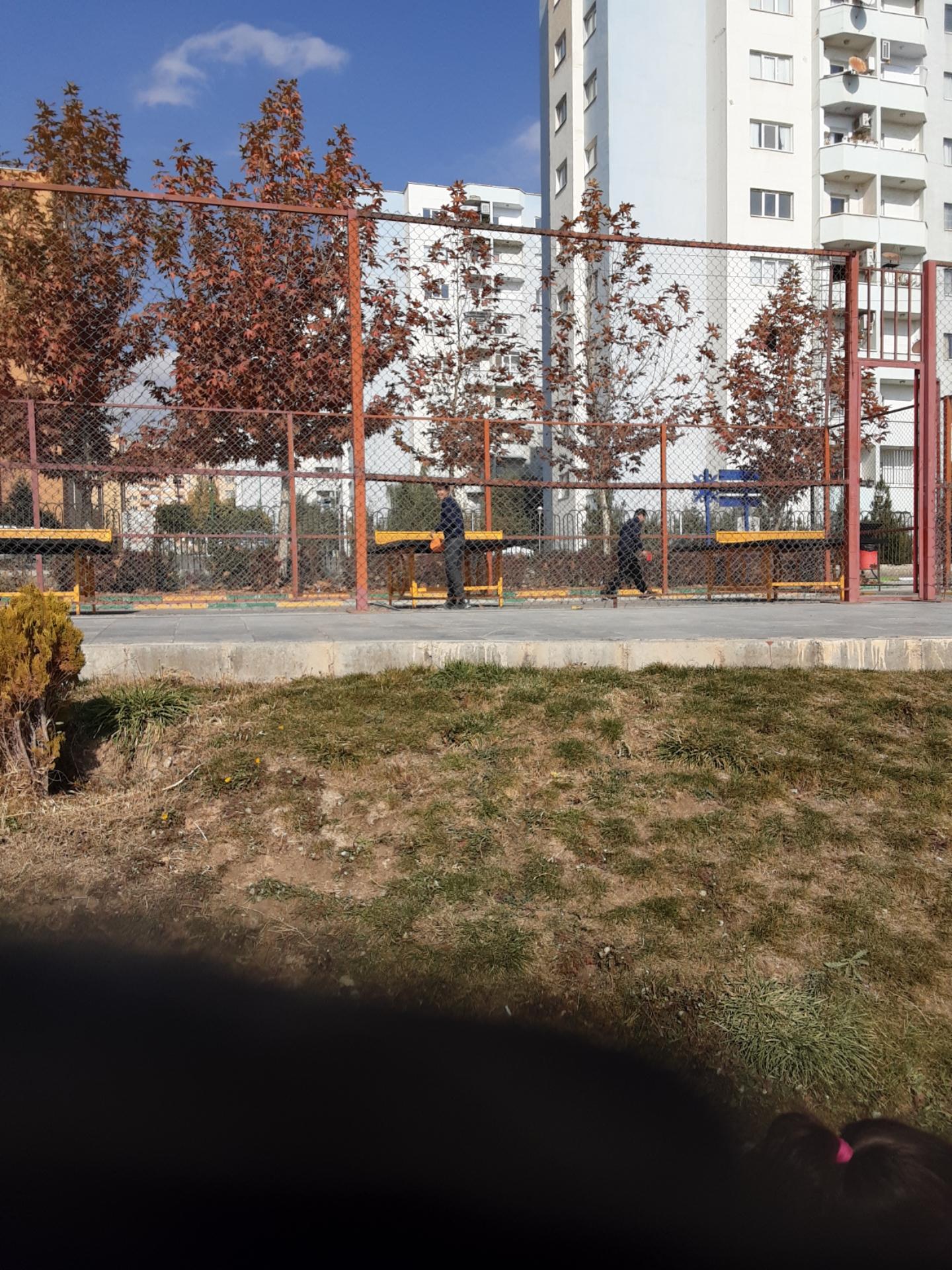 عکس زمین بازی تنیس روی میز