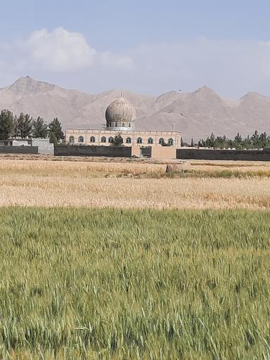 عکس امامزاده سید ملکشاه