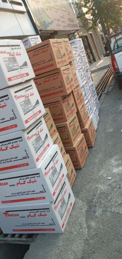 عکس کتونی مهران