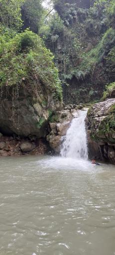 عکس نارنج بن