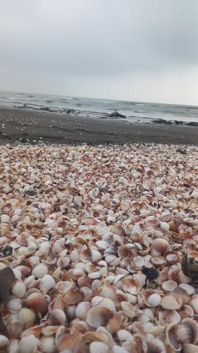 عکس مجتمع گردشگری اقامتی باران