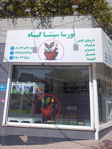 عکس نورسا سپنتا گياه