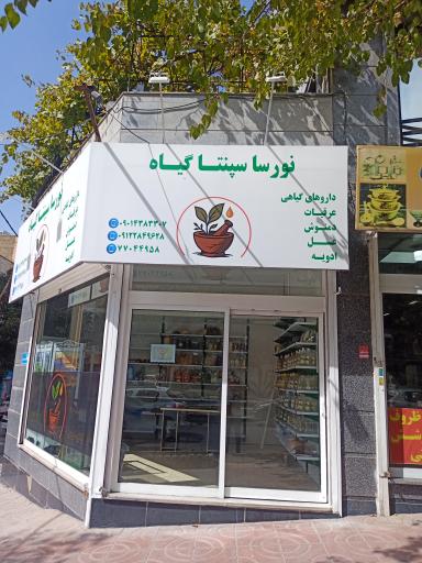 عکس نورسا سپنتا گياه