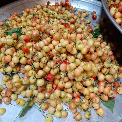 عکس میوه چوپانی