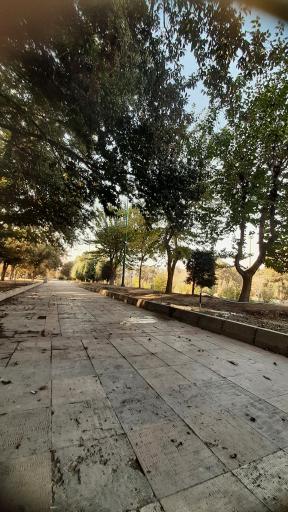 عکس بوستان شریعتی