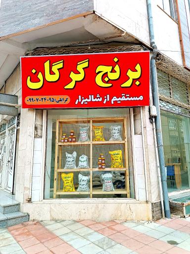 برنج گرگان 