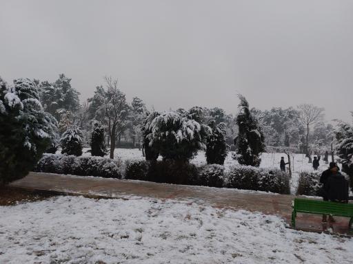 عکس بوستان شریعتی