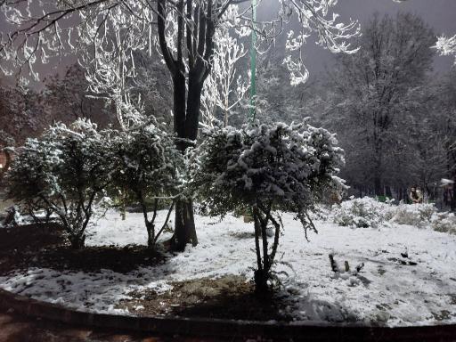 عکس بوستان شریعتی