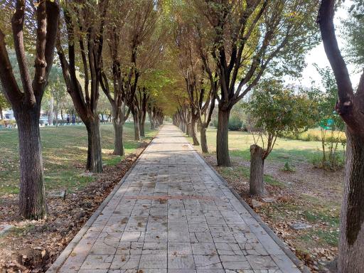 عکس بوستان شریعتی