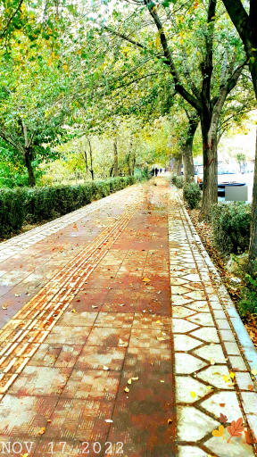 عکس بوستان شریعتی