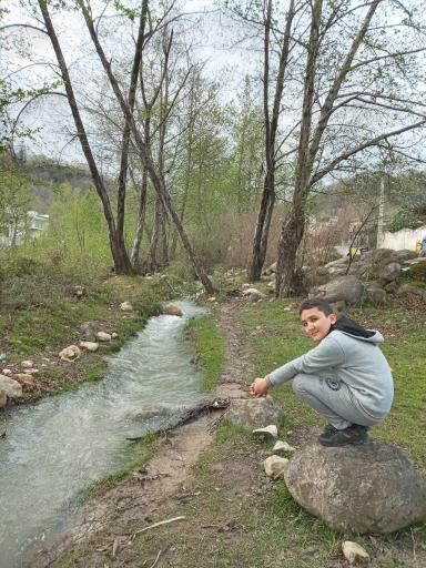 عکس نارنج بن