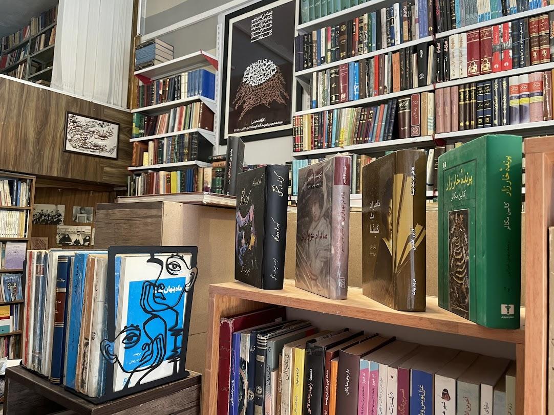 عکس کتاب دانشور