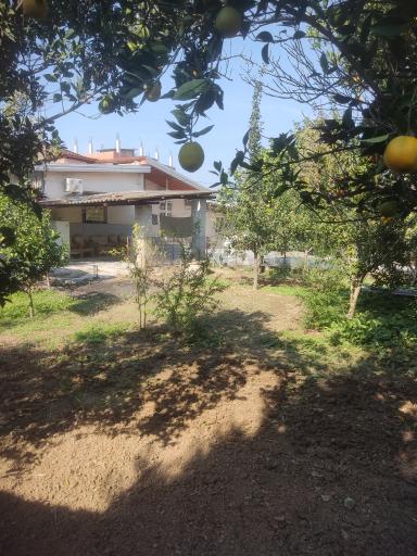 عکس مهمانپذیر گشتا