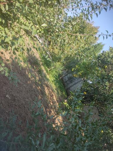 عکس مهمانپذیر گشتا