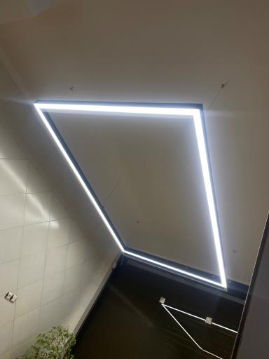 عکس برق پرنیان