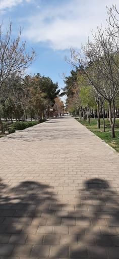 پارک آیت الله مدنی