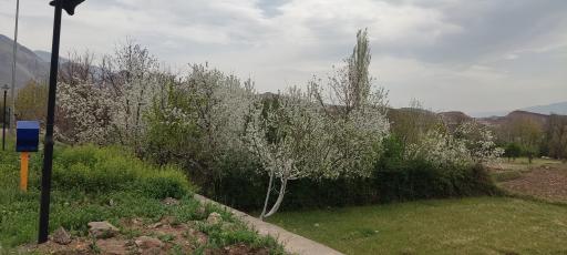 عکس رازمیان