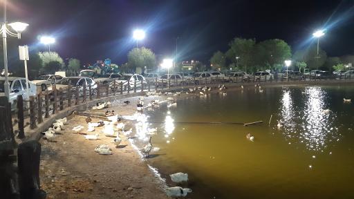 عکس مجتمع فجر سپاه اهواز