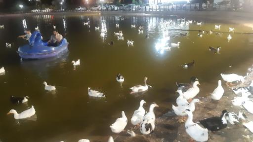 عکس مجتمع فجر سپاه اهواز