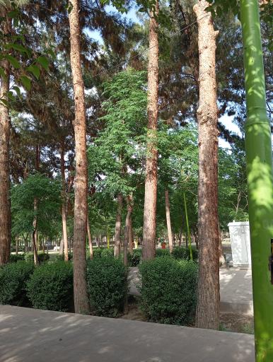 پارک آیت الله مدنی