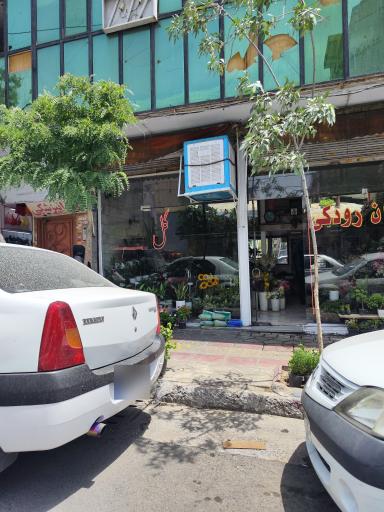 عکس گل فروشی