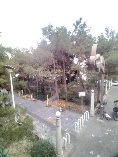 عکس بوستان صبا