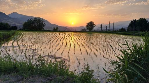 عکس رازمیان