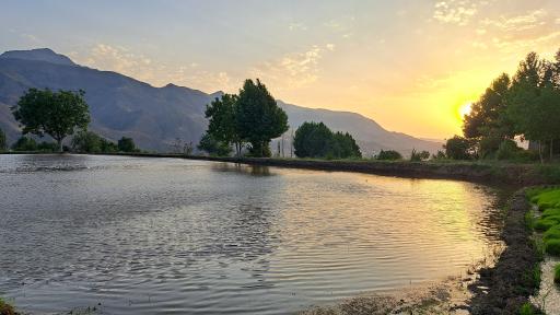 عکس رازمیان