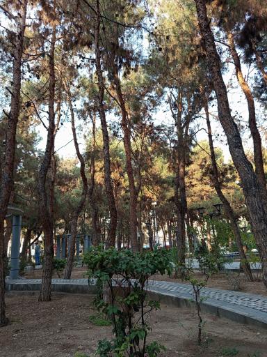 عکس بوستان صبا