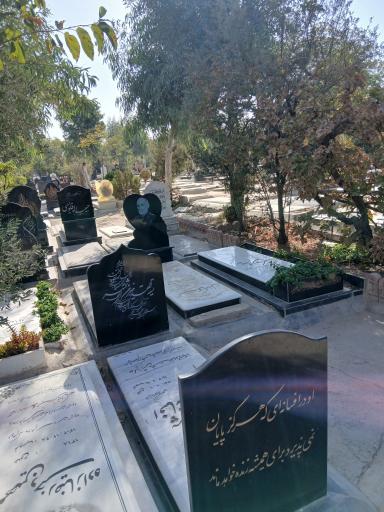 عکس قطعه 257