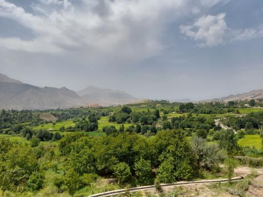 عکس رازمیان