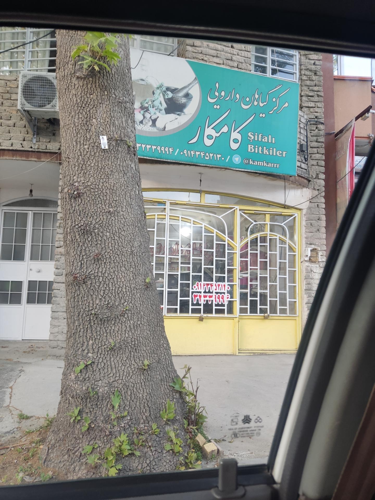 عکس گیاهان دارویی کامکار