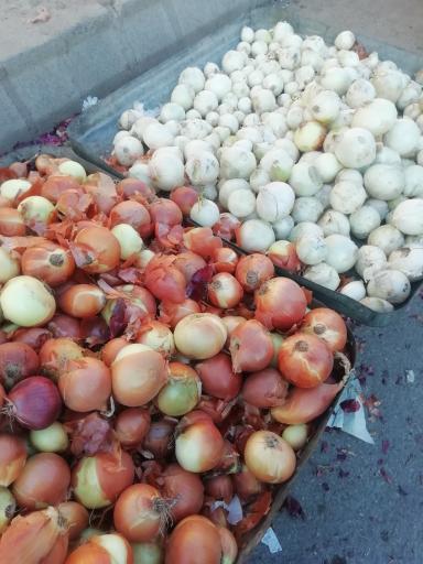 عکس بازار تره بار محلی