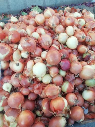 عکس بازار تره بار محلی