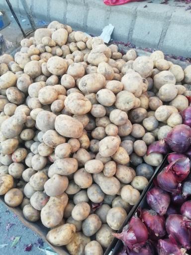 عکس بازار تره بار محلی