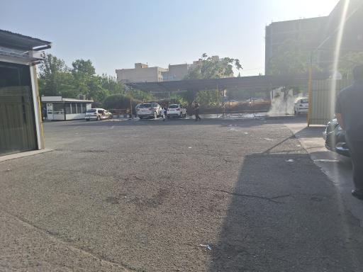 عکس کارواش زیتون