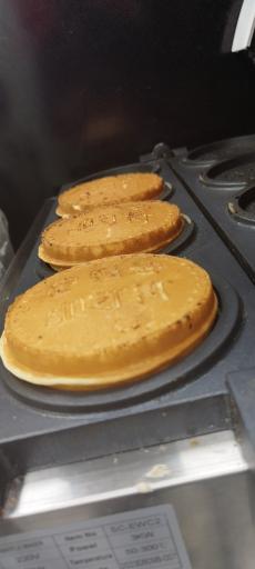 عکس کمپ مزه زاهدان 