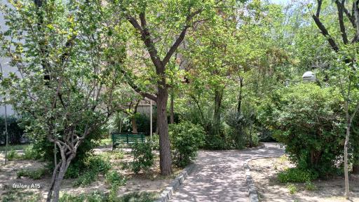 عکس پارک پامچال