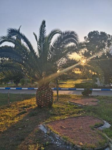 عکس مجتمع رفاهی فرهنگیان خزرآباد