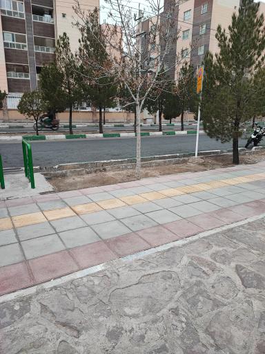 عکس قلی پور