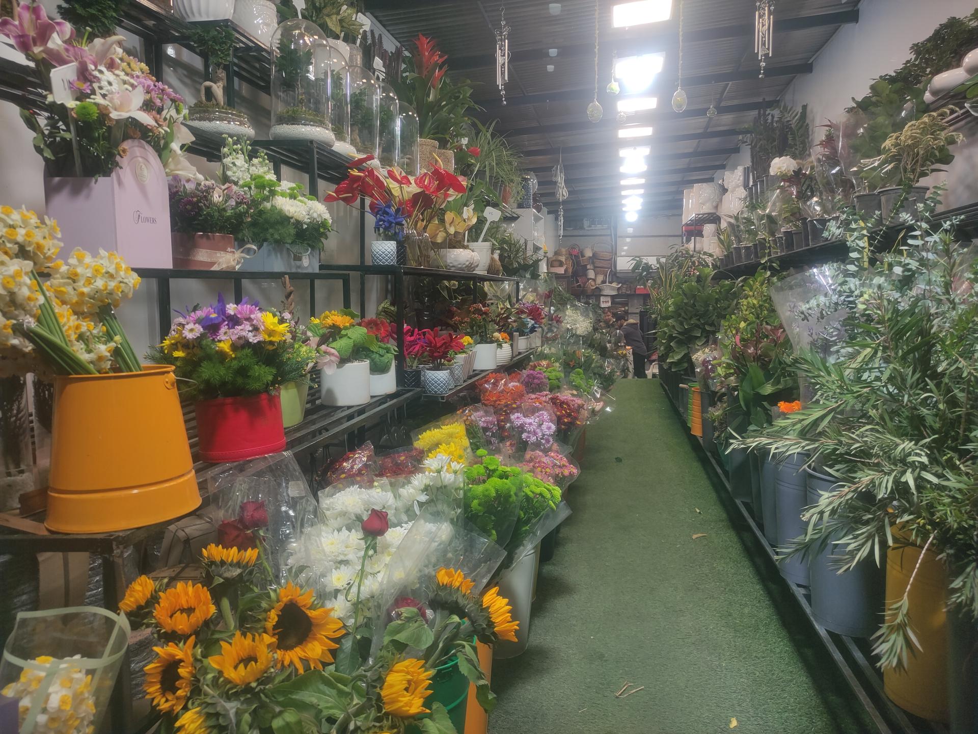 عکس گلخانه خانه ما