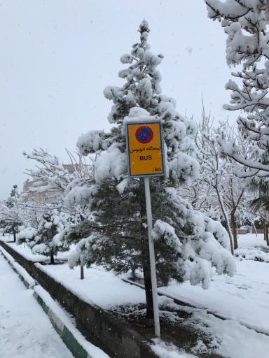 عکس قلی پور