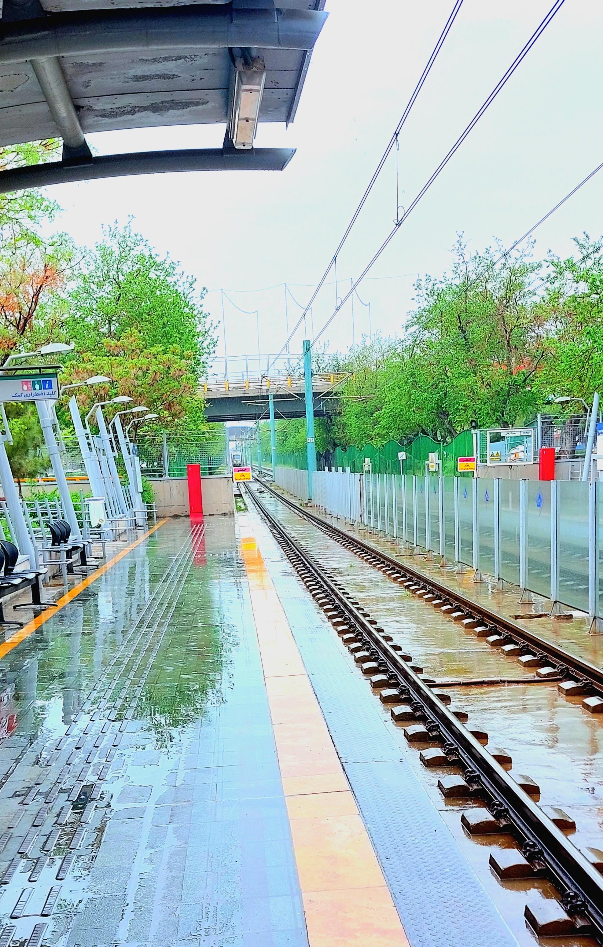 عکس سید رضی